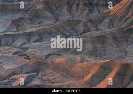 La luce del mattino presto proietta una tonalità rosa sulle formazioni rocciose simili a quella lunare, mentre il paesaggio lunare si affaccia sulla Blue Valley dello Utah Foto Stock