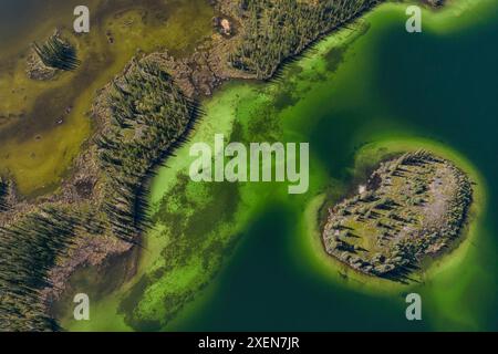 Vista aerea della costa di un lago Yukon che mostra incredibili colori naturali sul fiume Ross lungo la South Canol Road nello Yukon centrale Foto Stock