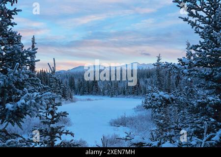 Le vedute dei paesaggi invernali lungo Annie Lake Road al crepuscolo rendono il viaggio stupendo mentre l'alba inizia a colorare il cielo; Whitehorse, Yukon, Canada Foto Stock