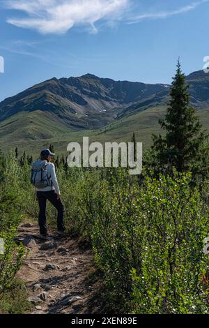 Donna che cammina nel paesaggio del Tombstone Territorial Park, Yukon, in una calda giornata estiva lungo la Dempster Highway; Yukon, Canada Foto Stock