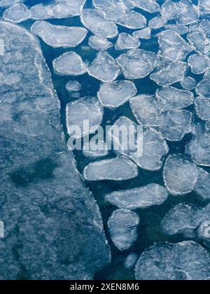 Pancake Ice, processo di formazione del ghiaccio marino. Costa di Colesbukta parte di Isfjorden durante l'inverno, sull'isola di Spitsbergen nell'Archipel delle Svalbard Foto Stock