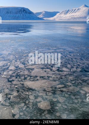 Pancake Ice, processo di formazione del ghiaccio marino. Costa di Colesbukta parte di Isfjorden durante l'inverno, sull'isola di Spitsbergen nell'Archipel delle Svalbard Foto Stock