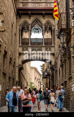 Pont del Bisbe si trova su una stretta strada nel quartiere gotico (Barri Gotic) della città vecchia, Barcellona, Spagna. Foto Stock