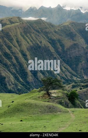 Aspro paesaggio montano a Lembah Ollon; Lumbah Ollon, Bonggakaradeng, Reggenza di Tana Toraja, Sulawesi meridionale, Indonesia Foto Stock