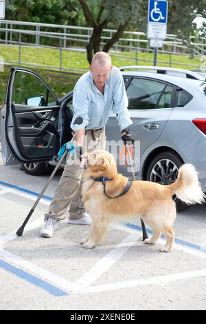 Un uomo paraplegico con stampelle all'avambraccio porta il suo cane di servizio a recuperare le chiavi del veicolo in un parcheggio Foto Stock