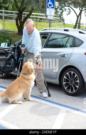 Un uomo paraplegico con stampelle all'avambraccio porta il suo cane di servizio a recuperare le chiavi del veicolo in un parcheggio Foto Stock