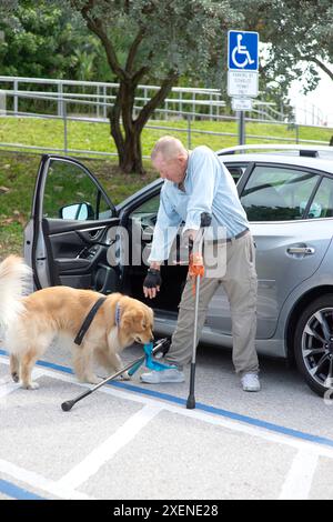 Un uomo paraplegico con stampelle all'avambraccio porta il suo cane di servizio a recuperare la sua stampella caduta da terra in un parcheggio Foto Stock