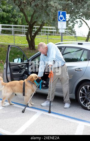 Un uomo paraplegico con stampelle all'avambraccio porta il suo cane di servizio a recuperare la sua stampella caduta da terra in un parcheggio Foto Stock