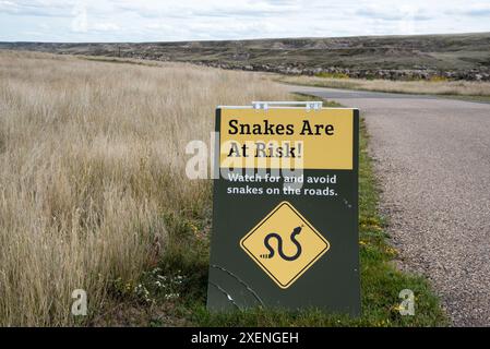 Attenzione: Prestare attenzione, i serpenti a sonagli potrebbero trovarsi sulla strada. Foto Stock