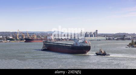 Una grande nave entra nel porto di Newcastle con rimorchiatori che dirigono la strada. Newcastle è uno dei porti di esportazione di carbone più trafficati al mondo. Foto Stock