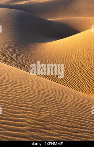 Stati Uniti, California. Mojave Trails National Monument, Cadiz Dunes. Foto Stock