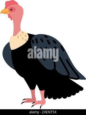 condor andino grandi specie di uccelli Illustrazione Vettoriale