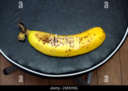 Una banana su una sedia sgabello pieghevole Foto Stock