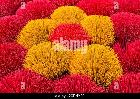 Il vibrante incenso è disposto a terra per asciugare al sole a Quang Phu Cau, Ung Hoa, Vietnam del Nord, Asia a giugno - bastoncini di incenso rossi e gialli Foto Stock