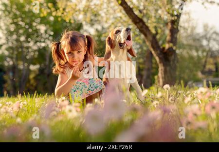 Felice bambina giocando con il cane in giardino. Quattro-anno-vecchia ragazza su una soleggiata giornata estiva con un cane beagle su un prato con margherite. Foto Stock