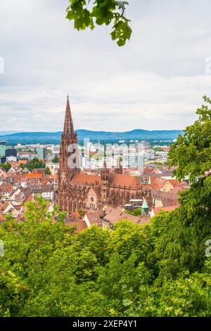 Germania, Friburgo in Breisgau vista panoramica aerea sopra le vecchie case della città, il mercato, i tetti rossi e la storica cattedrale muenster dietro il gre Foto Stock