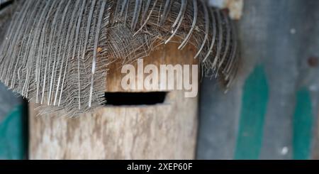 Primo piano di una cassetta di sicurezza in legno in ambiente naturale Foto Stock