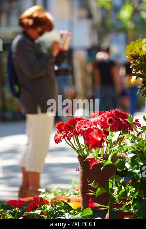 Ramblas. Barcellona. Catalogna. Spagna. Foto Stock