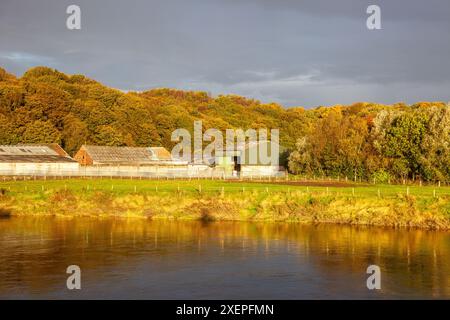 Fattoria sulle rive di un fiume sotto il cielo pesante di una mattina d'autunno Foto Stock