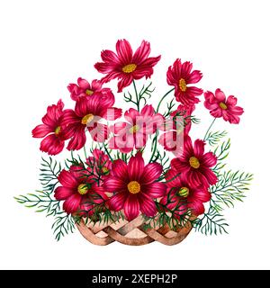 Bouquet di fiori cosmo rosa e viola in un vaso di rami di vimini. Illustrazione in acquerello del modello per schede, etichette, festa della mamma, San Valentino Foto Stock