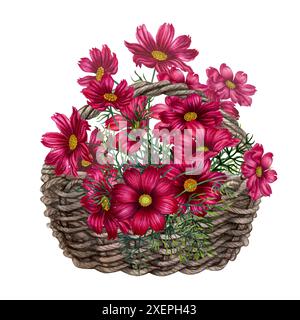 Bouquet di fiori cosmo rosa e viola in un vaso di rami di vimini. Illustrazione in acquerello del modello per schede, etichette, festa della mamma, San Valentino Foto Stock