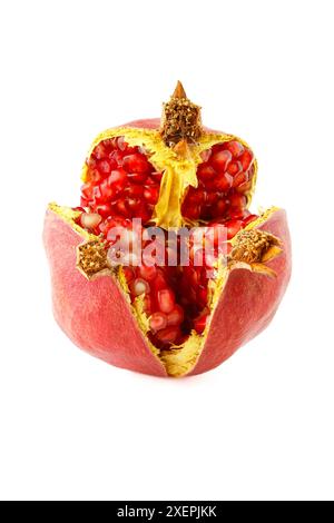 Melagrana spaccata matura, uno dei frutti con la più alta quantità di antiossidanti. Messa a fuoco selettiva con profondità di campo ridotta. Foto Stock