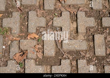 Lastre di pavimentazione in calcestruzzo autobloccanti, scarico automatico e respirazione del terreno, per parcheggi ecologici, pavimentazione per vialetti. Foto Stock