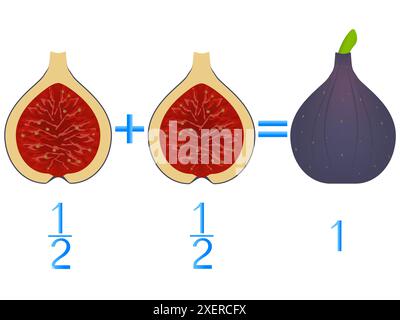 Relazione d'azione delle metà di aggiunta, esempi con i fichi. Gioco educativo per bambini. Illustrazione Vettoriale