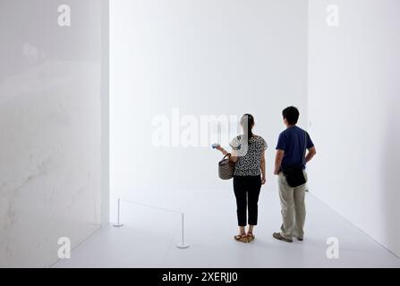 Tokujin Yoshioka, Mori Art Museum Roppongi Hills Mori Tower, Tokyo, Giappone. Foto Stock