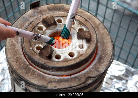 Tempio di Sensoji, Asakusa, Tokyo, Giappone. Foto Stock