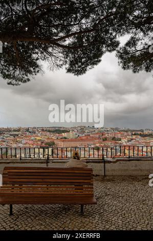 Persona solitaria su una panchina di legno a miradouro da graa, sotto un albero, che guarda un paesaggio urbano nuvoloso di lisbona Foto Stock