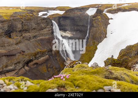 Cascata Granni nella valle di Fossardalur in Islanda, vista panoramica del profondo canyon ricoperto di erba, muschio e neve. Foto Stock