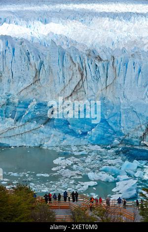 Ghiacciaio Perito Moreno. Parco nazionale Los Glaciares. Lago Argentino. Vicino a El Calafate. Provincia di Santa Cruz. Patagonia. Argentina. Foto Stock