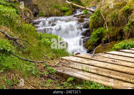Ponte in legno con piccola cascata circondato da una vegetazione lussureggiante nel Gjain Canyon nella valle di Thjorsardalur, Islanda, lunga esposizione. Foto Stock