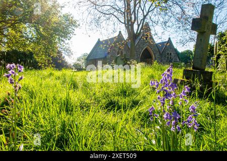 St Mary's Churchyard a Wandsswoth, Londra, in una soleggiata mattina di primavera Foto Stock