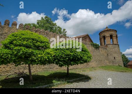 Telavi, Georgia - 27 giugno 2024: Batonis Tsikhe è un monumento architettonico a Telavi, Georgia Foto Stock