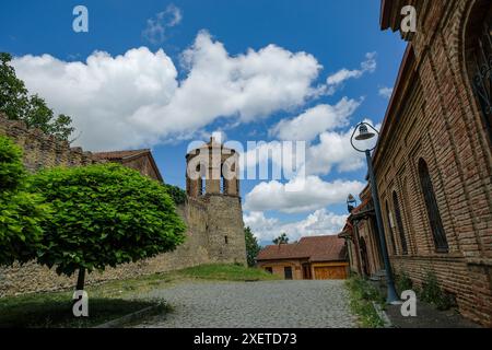 Telavi, Georgia - 27 giugno 2024: Batonis Tsikhe è un monumento architettonico a Telavi, Georgia Foto Stock