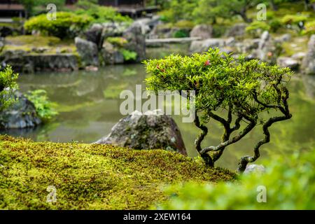 Lussureggiante giardino di Ginkaku-ji (o Jissho-ji), un tempio buddista zen costruito da Ashikaga Yoshimasa nel XV secolo, quartiere di Sakyo, Kyoto, Giappone. Foto Stock