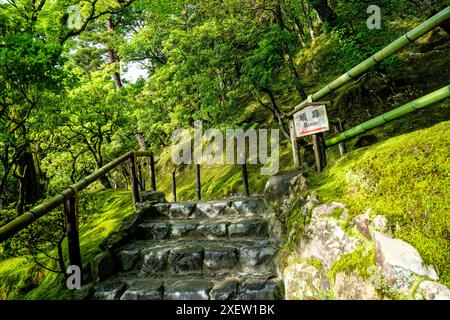 Percorso nel lussureggiante giardino di Ginkaku-ji (o Jissho-ji), un tempio buddista zen costruito da Ashikaga Yoshimasa nel XV secolo, quartiere Sakyo, Kyoto, Giappone. Foto Stock