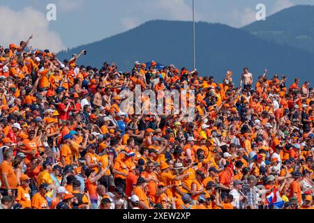 Spielberg, Austria. 29 giugno 2024. SPIELBERG, AUSTRIA - GIUGNO 29: Spettatori dei Paesi Bassi durante le qualificazioni davanti al Gran Premio di F1 d'Austria al Red Bull Ring il 29 giugno 2024 a Spielberg, Austria.240629 SEPA 19 106 - 20240629 PD14471 credito: APA-PictureDesk/Alamy Live News Foto Stock