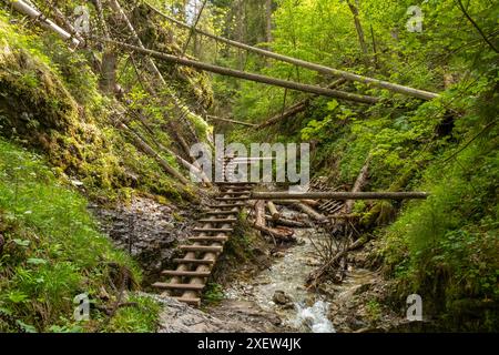 Parco nazionale del Paradiso slovacco in Slovacchia. Foto Stock