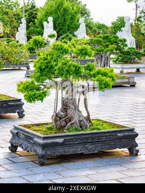 Alberi di bonsai verdi che crescono nel cortile della Pagoda Linh Ung a Danang (da Nang), Vietnam. Da Nang è una popolare destinazione turistica dell'Asia. Foto Stock