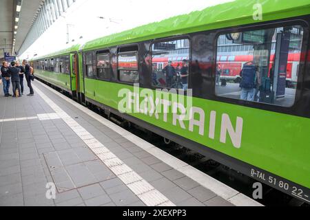 Münster Hauptbahnhof, Flixtrain. Linie FLX20 Amburgo - Köln. Flixtrain a Zusammenarbeit mit Hector Rail. Münster, Nordrhein-Westfalen, DEU, Deutschland, 21.05.2024 *** stazione centrale di Münster, linea Flixtrain FLX20 Amburgo Colonia Flixtrain in collaborazione con Hector Rail Münster, Renania settentrionale-Vestfalia, DEU, Germania, 21 05 2024 Foto Stock