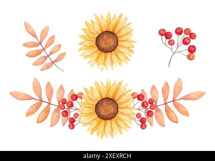 Set autunnale di girasoli con bacche e foglie rosse di rowan. Illustrazione acquerello botanico. Cornice, banner. Disegno isolato disegnato a mano. Stagionale Foto Stock