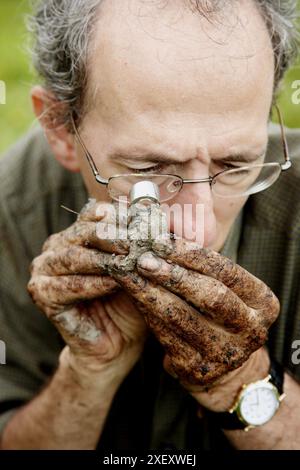 Osservazione dei macrofossili, campionamento della torba, ricerca sui cambiamenti climatici, Neiker-Tecnalia, unità ambiente, Belate, Navarra, Spagna Foto Stock