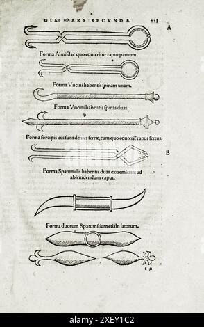 L'illustrazione del XVI secolo della chirurgia e delle operazioni chirurgiche nel Medioevo: Strumenti chirurgici. Dai libri medievali di Ottavio Horatiano e Abu al-Qasim Khalaf ibn al-Abbas al-Zahrawi. 1532 Foto Stock