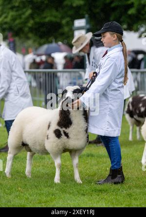 Agricoltori che mostrano pecore al Royal Three Counties Show tenutosi a Malvern, Regno Unito. Foto Stock