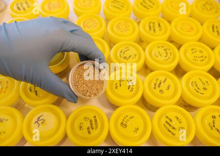 Sedimenti e laboratori ecotossicologici. Test dei sedimenti (fanghi, fango), filtraggio ed essiccazione, AZTI-Tecnalia. Centro tecnologico specializzato in Mari Foto Stock