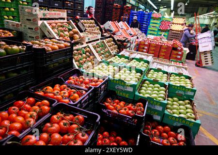 Mercabilbao frutta e verdura del mercato all'ingrosso, Basauri, Bilbao, Bizkaia, Euskadi, Spagna. Foto Stock