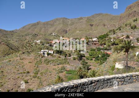 Masca a Tenerife, Isole Canarie Foto Stock